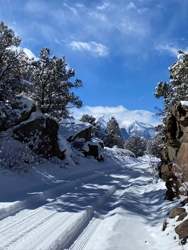 Snow Tracks