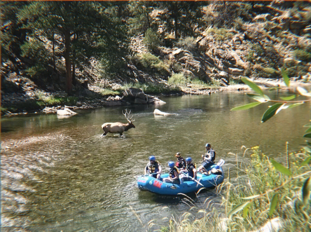 July 4th in Buena Vista