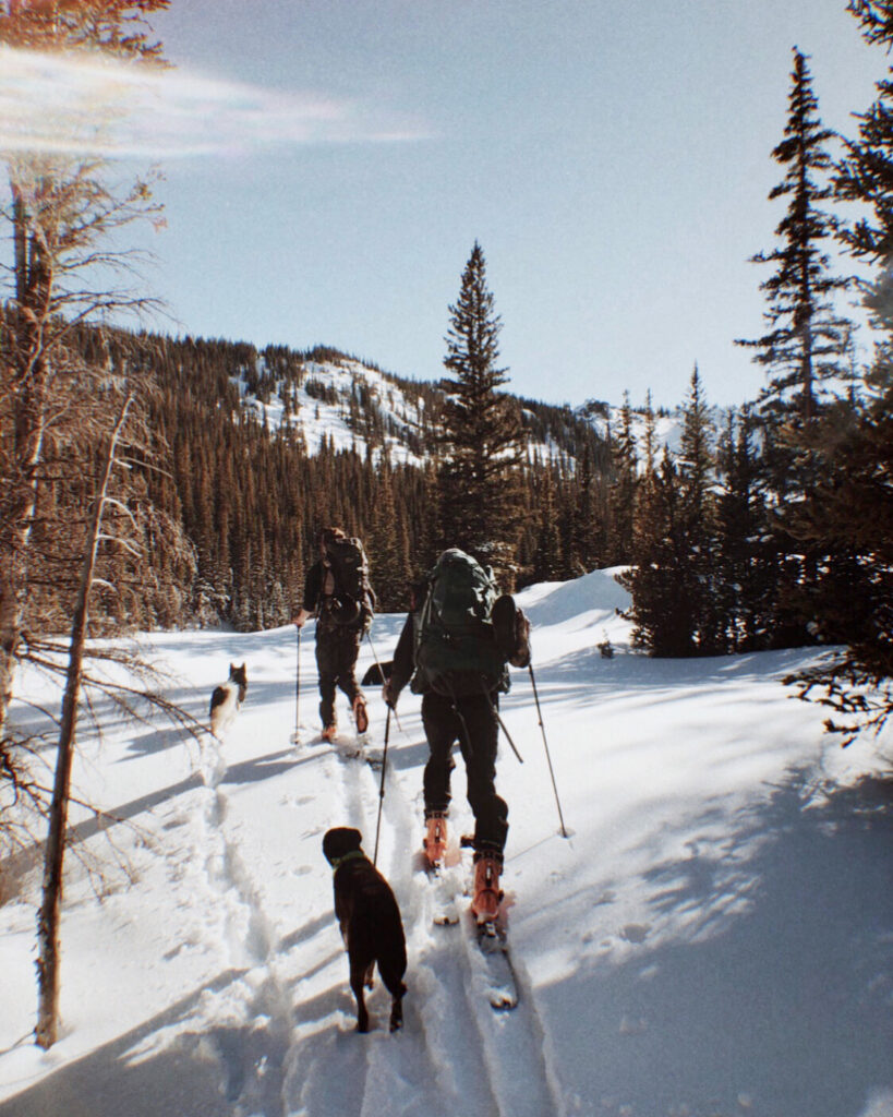 skiing near buena vista colorado