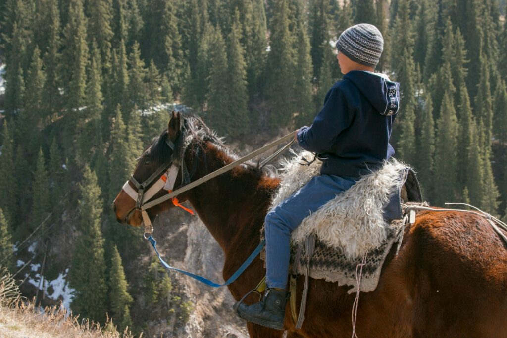 horseback riding buena vista colorado