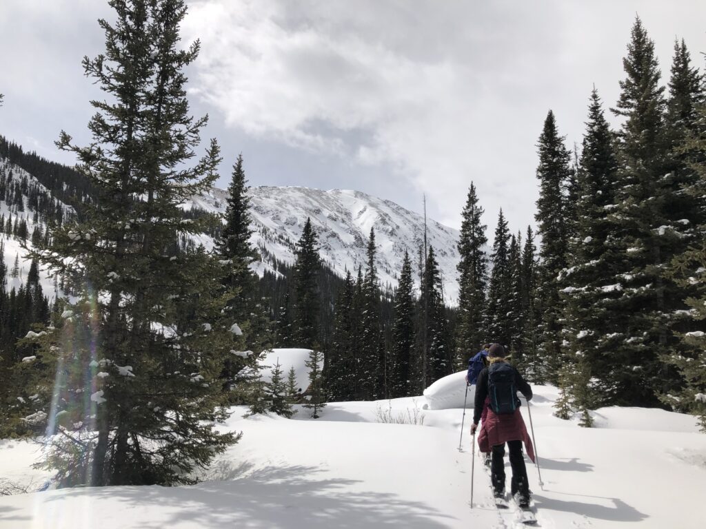 spring sale hotel buena vista colorado backcountry skiing